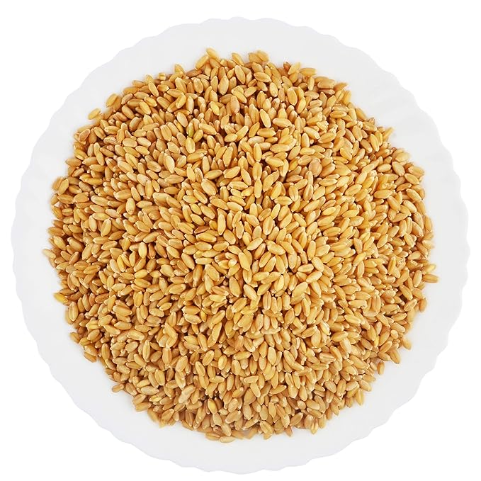 Lokwan Wheat