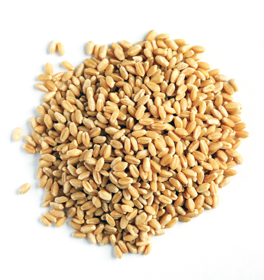 Mill Quality Wheat